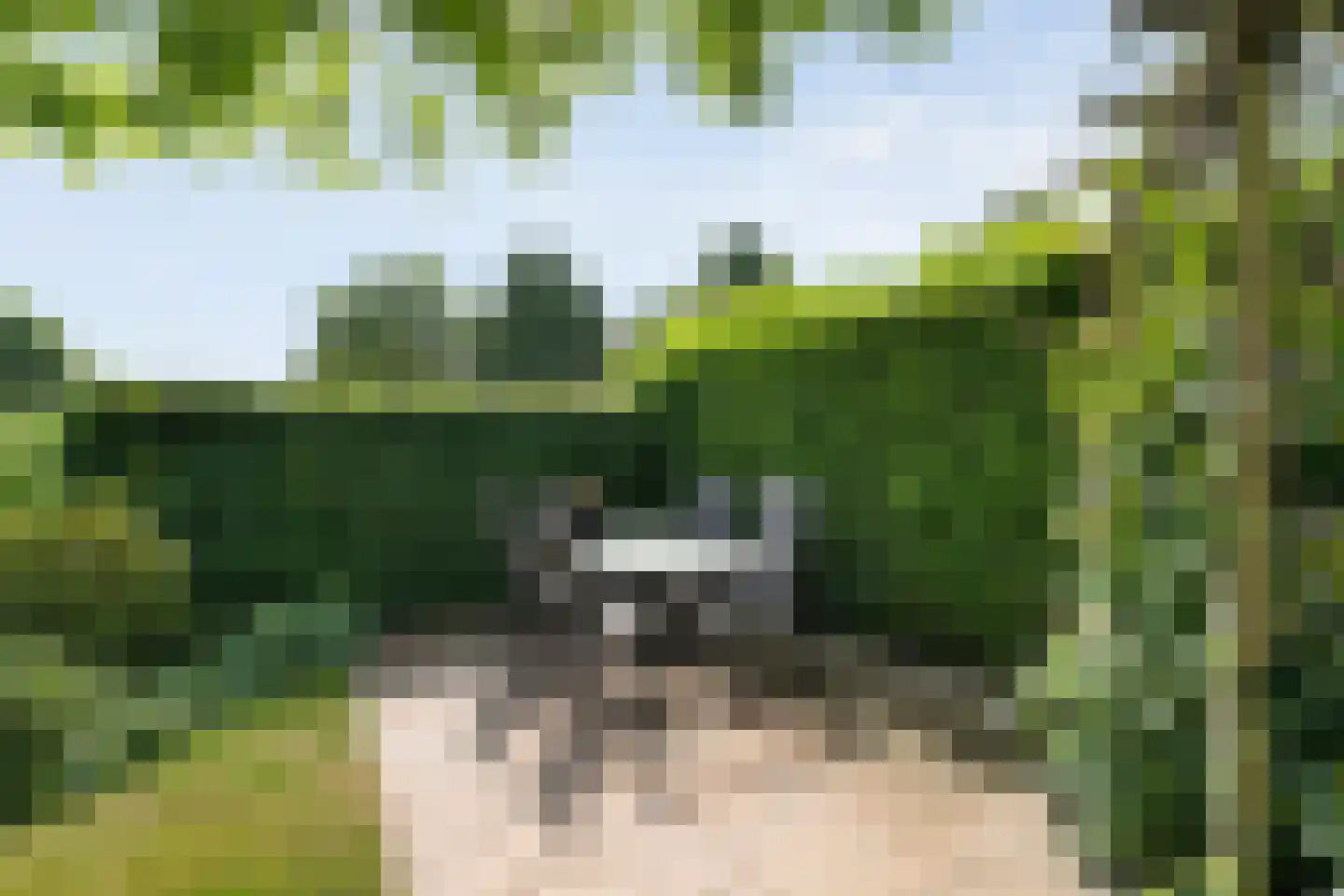 Hendricus Krijthestraat 3 Coevorden thumbnail 51