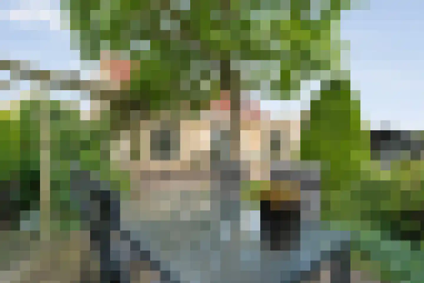 Hendricus Krijthestraat 3 Coevorden thumbnail 52