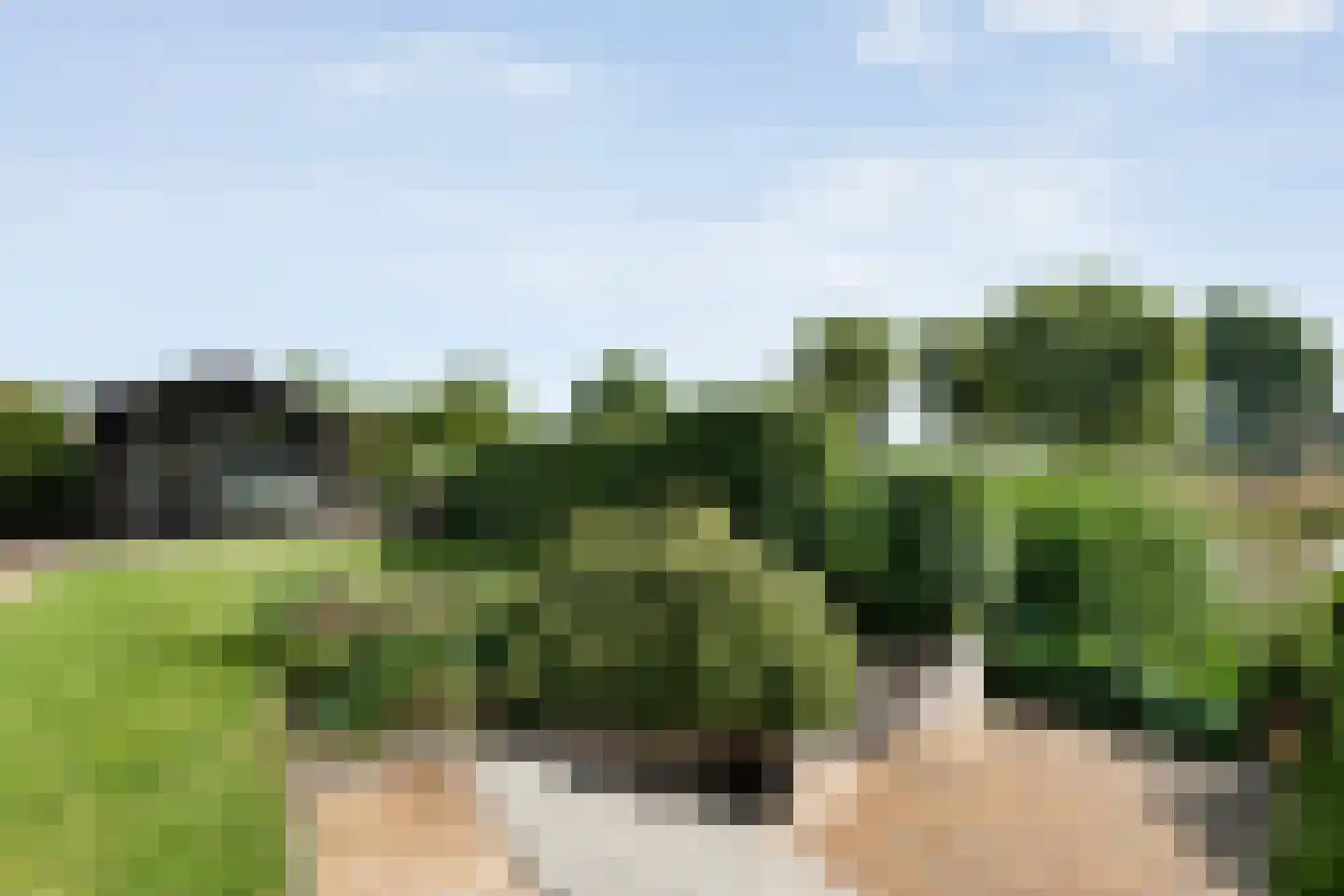 Hendricus Krijthestraat 3 Coevorden thumbnail 56