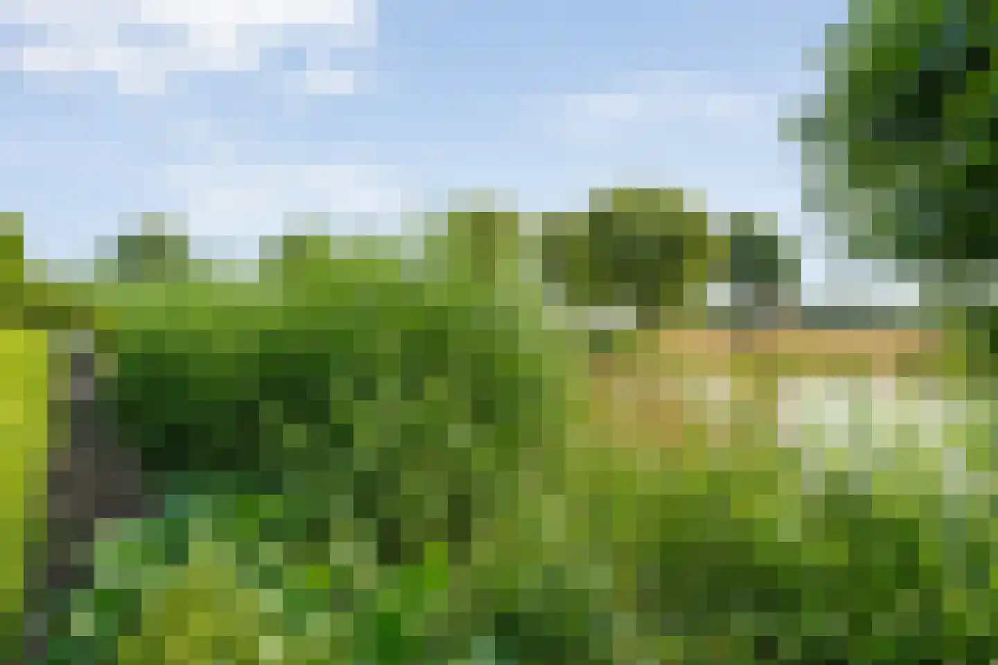 Hendricus Krijthestraat 3 Coevorden thumbnail 57