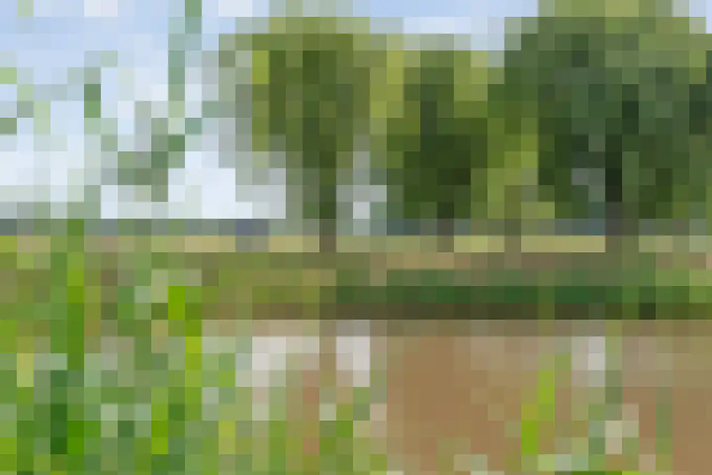 Hendricus Krijthestraat 3 Coevorden thumbnail 59