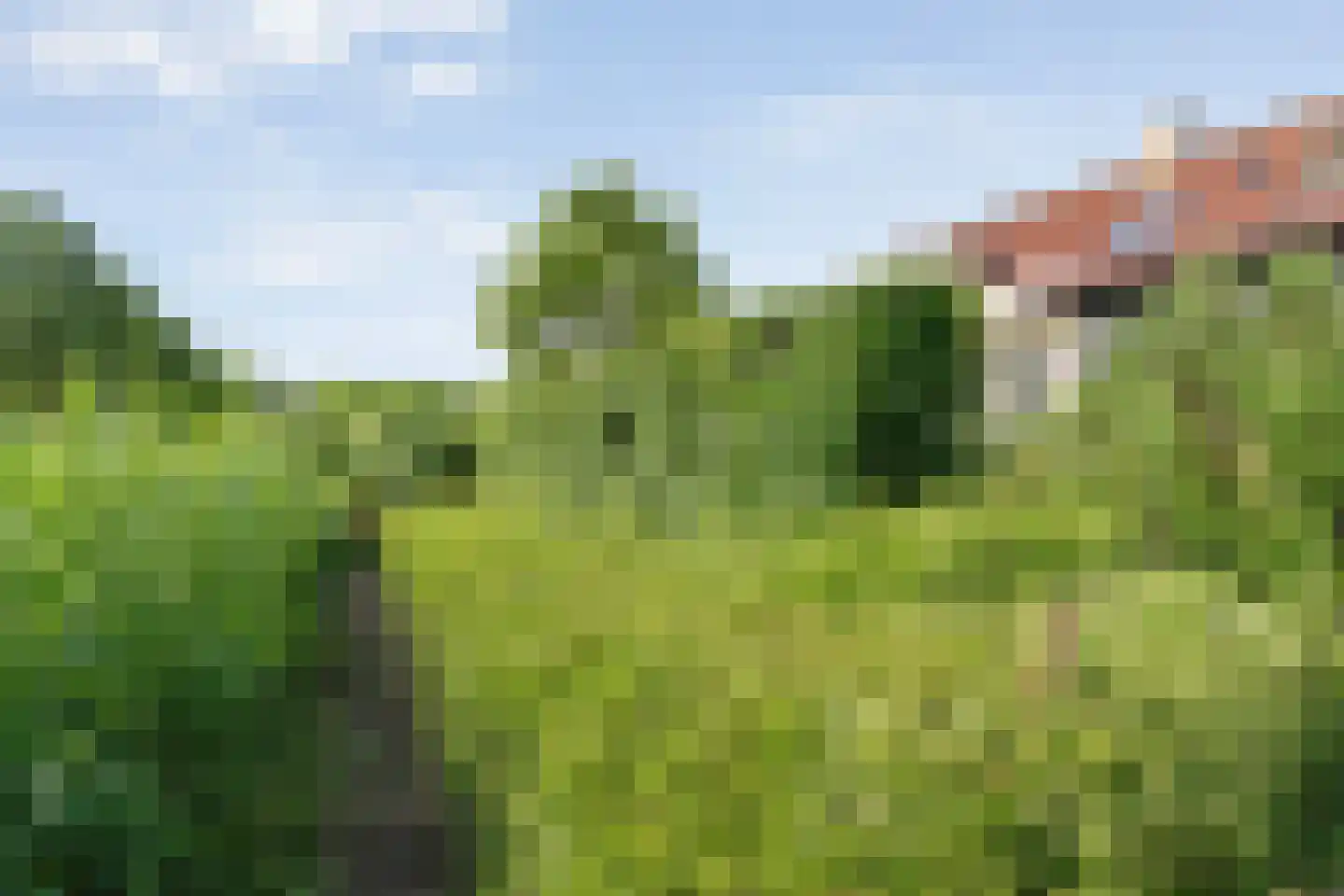 Hendricus Krijthestraat 3 Coevorden thumbnail 60