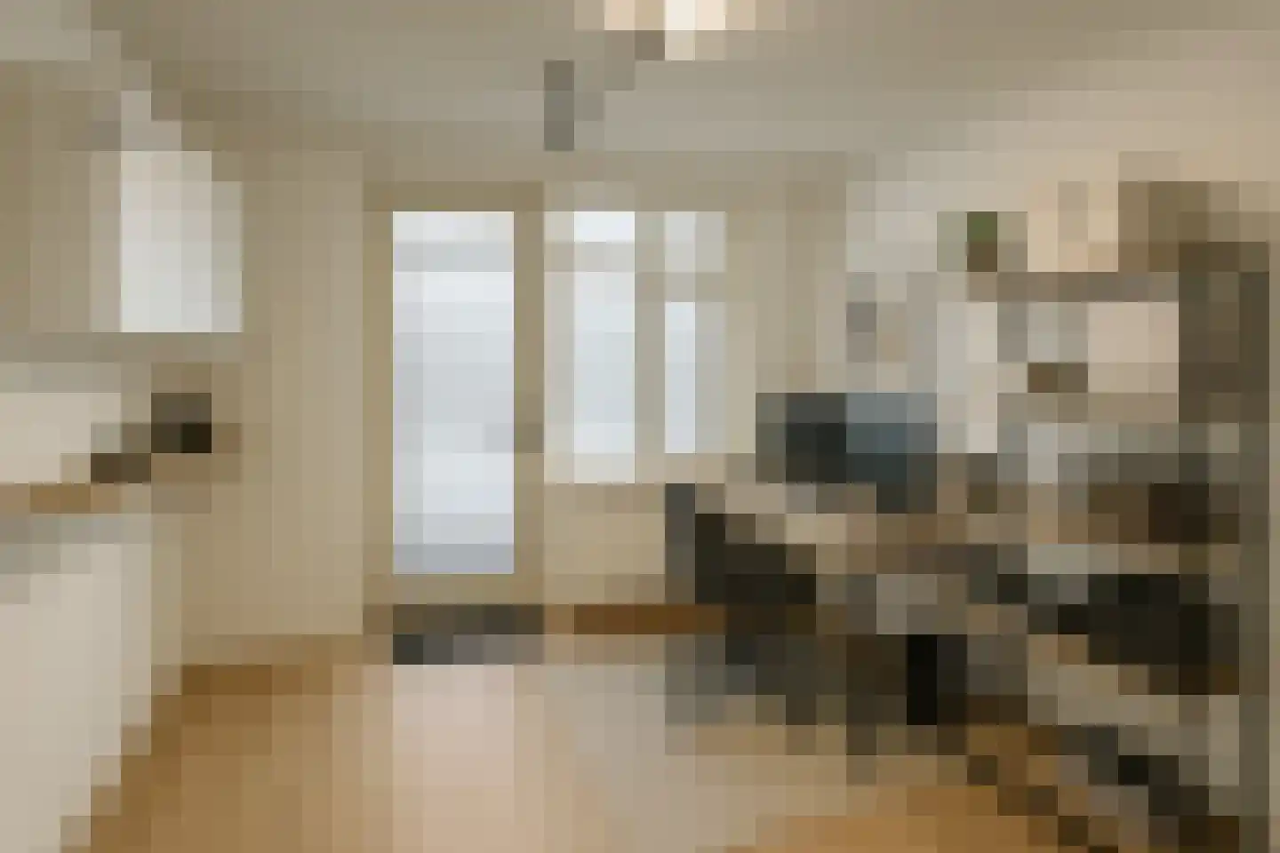 Hendricus Krijthestraat 3 Coevorden thumbnail 64