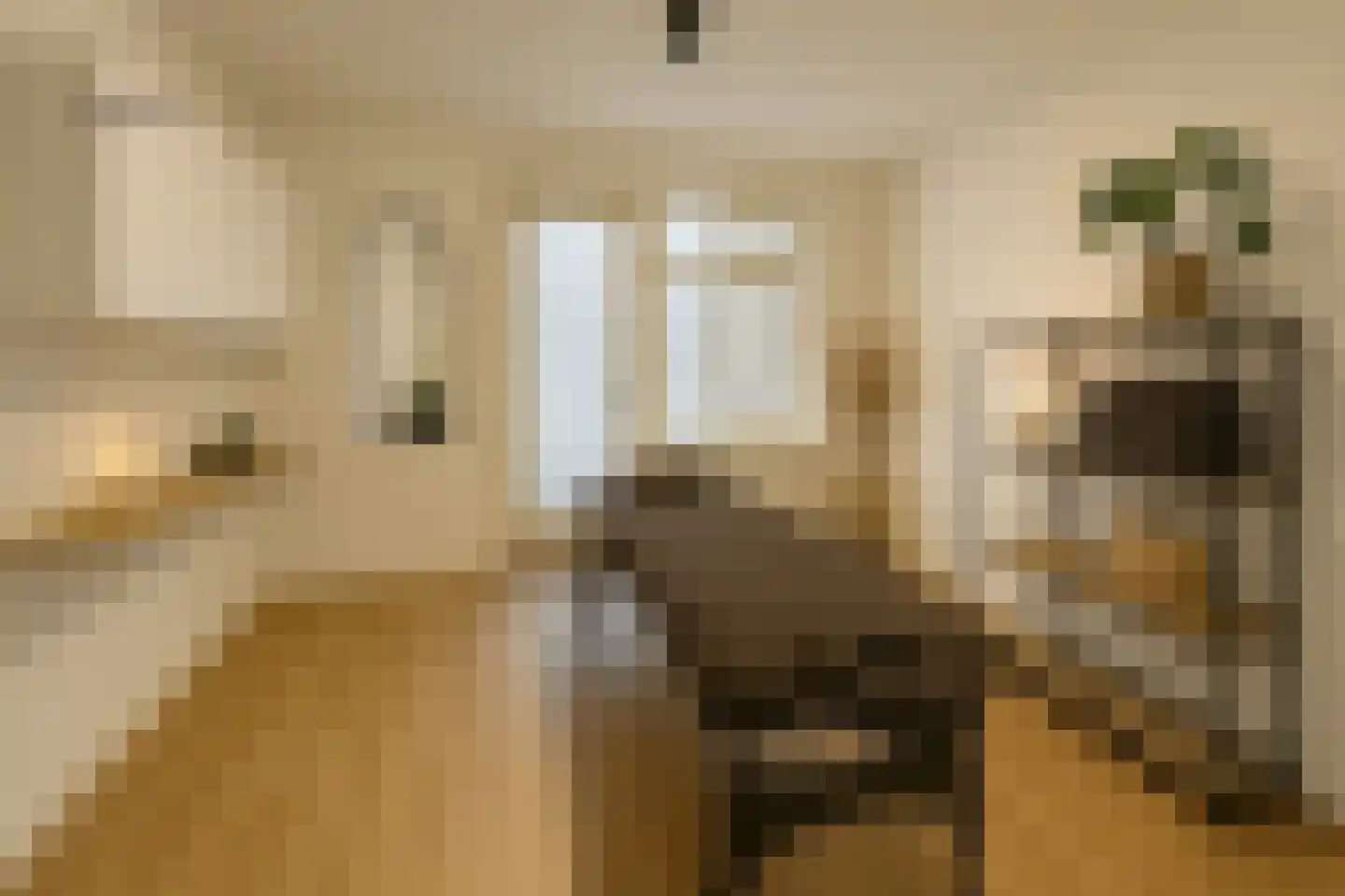 Hendricus Krijthestraat 3 Coevorden thumbnail 65