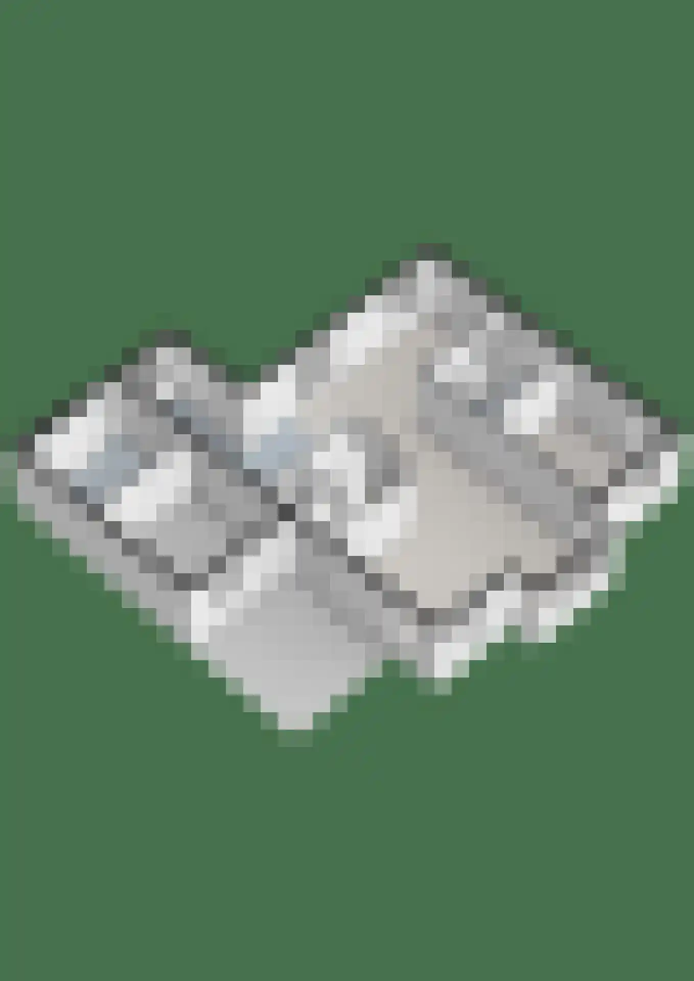 Hendricus Krijthestraat 3 Coevorden thumbnail 67
