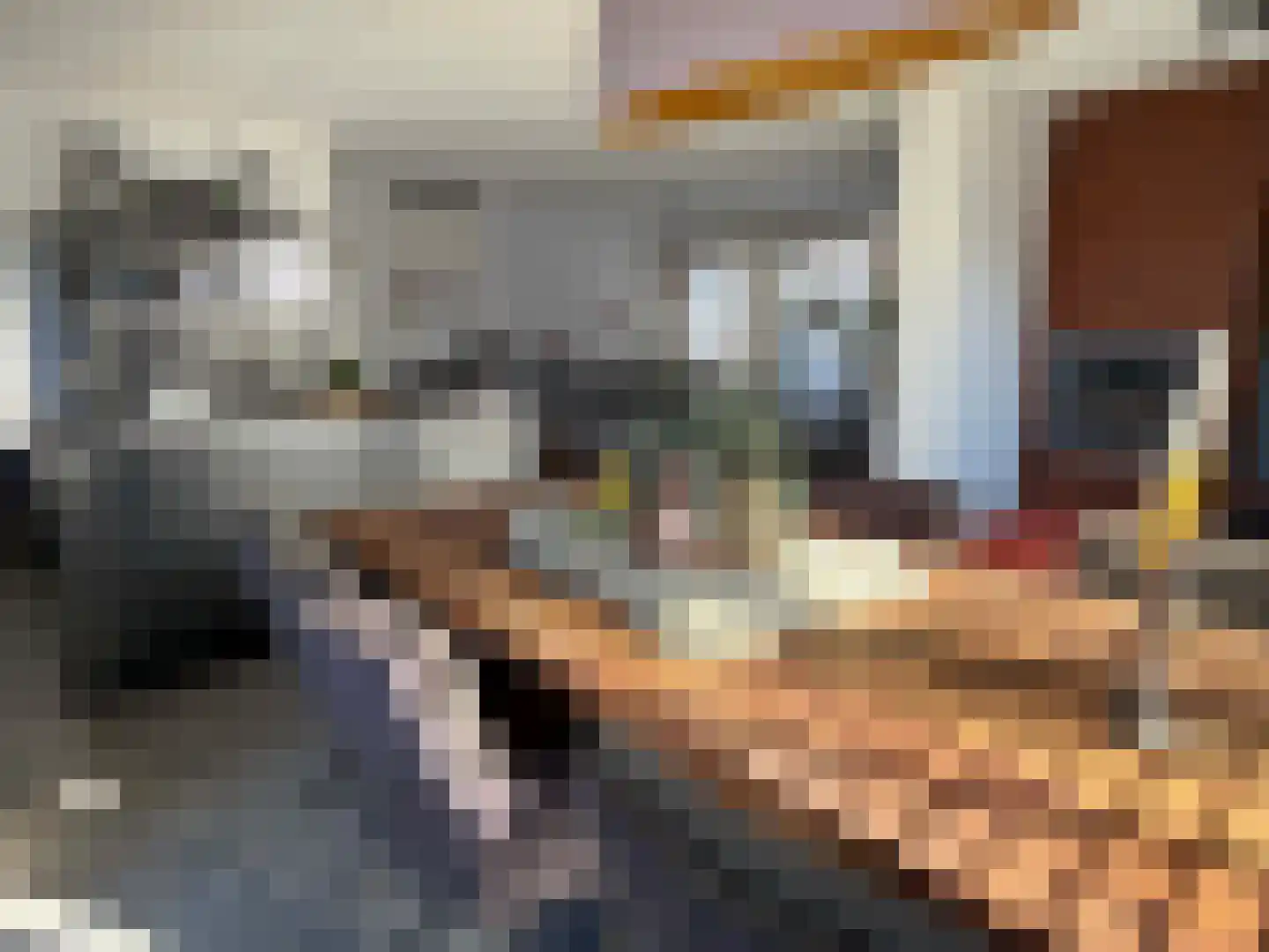 Hendricus Krijthestraat 50 Coevorden thumbnail 23