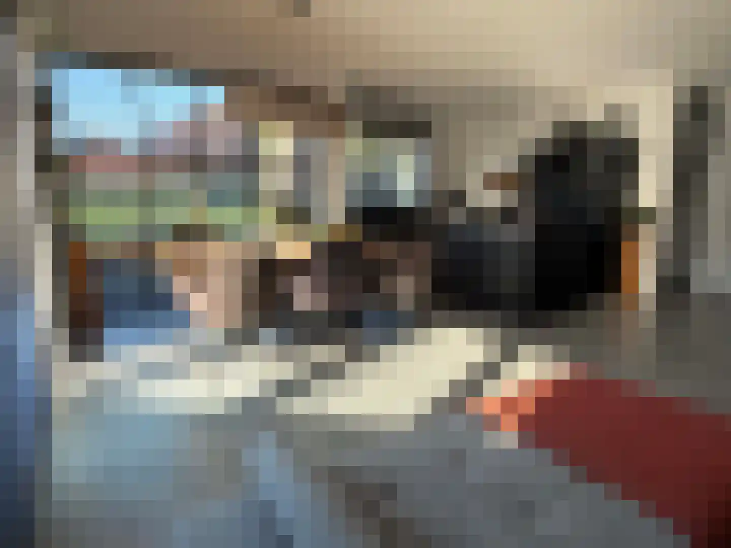Hendricus Krijthestraat 50 Coevorden thumbnail 26