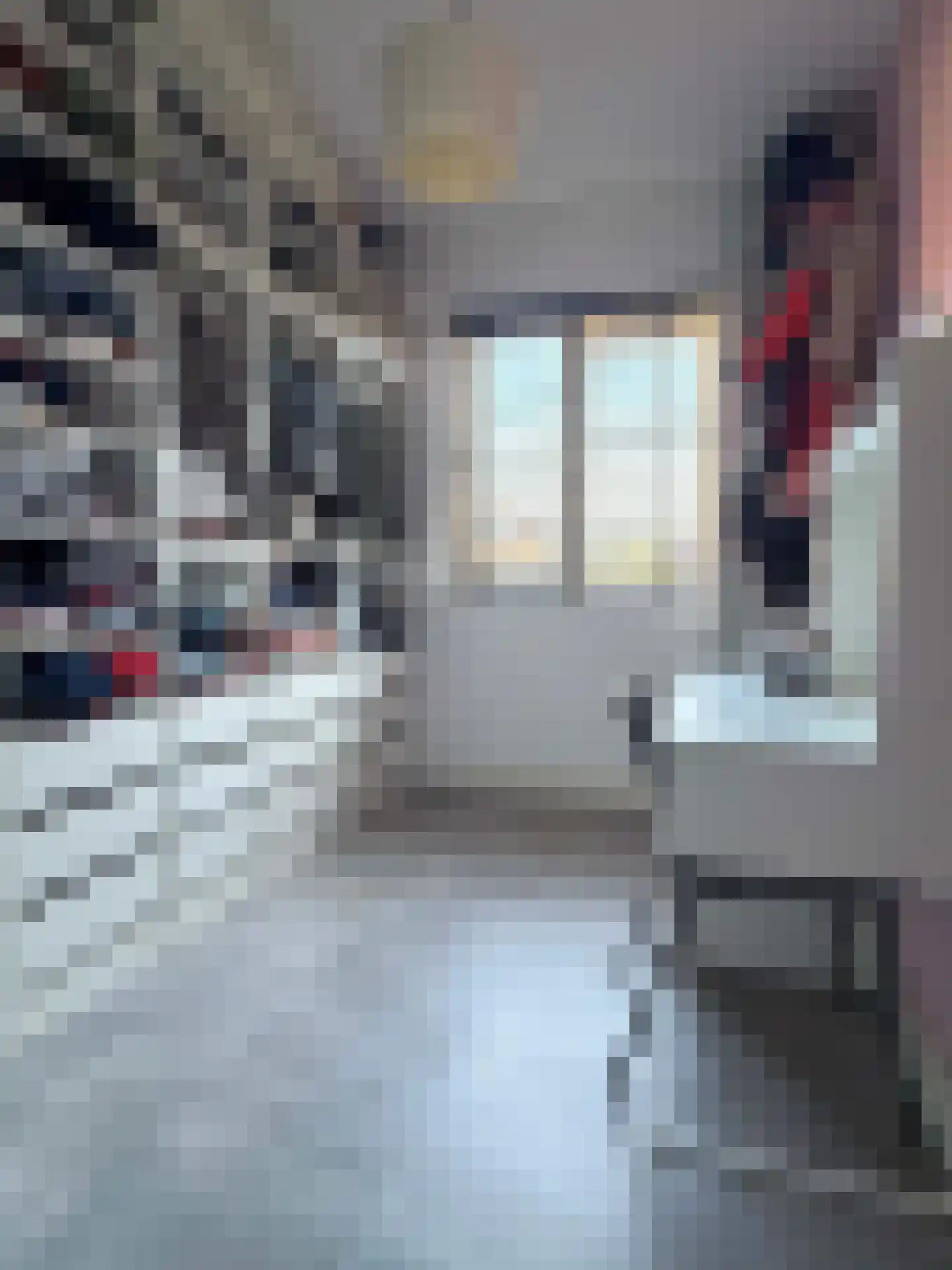 Hendricus Krijthestraat 50 Coevorden thumbnail 33