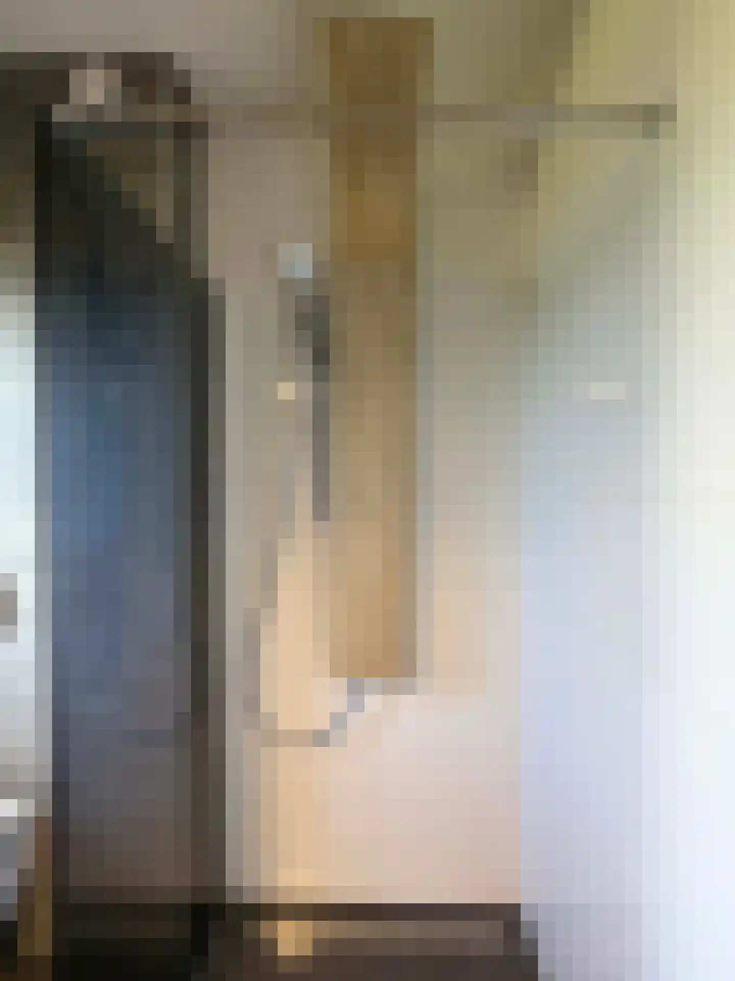 Hendricus Krijthestraat 50 Coevorden thumbnail 35