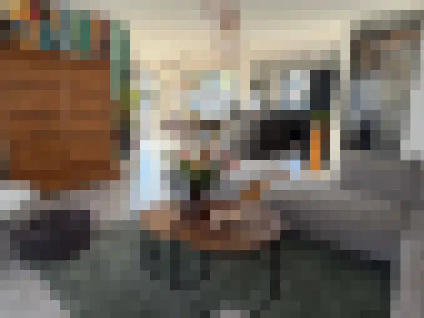 Hendricus Krijthestraat 50 Coevorden thumbnail 5