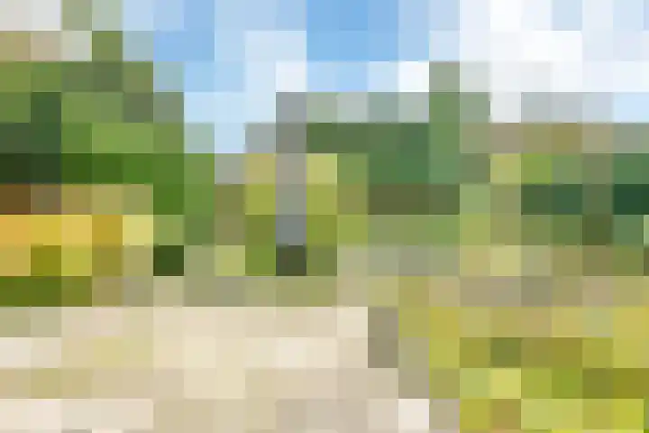 Hendricus Viottahof 6 Hoofddorp thumbnail 22