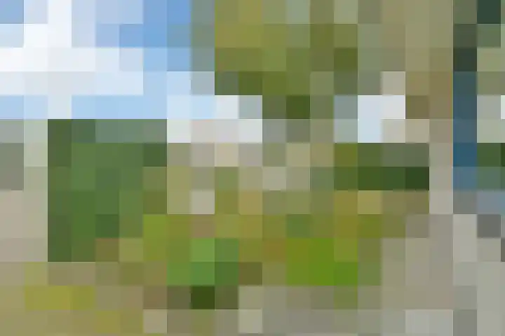 Hendricus Viottahof 6 Hoofddorp thumbnail 5