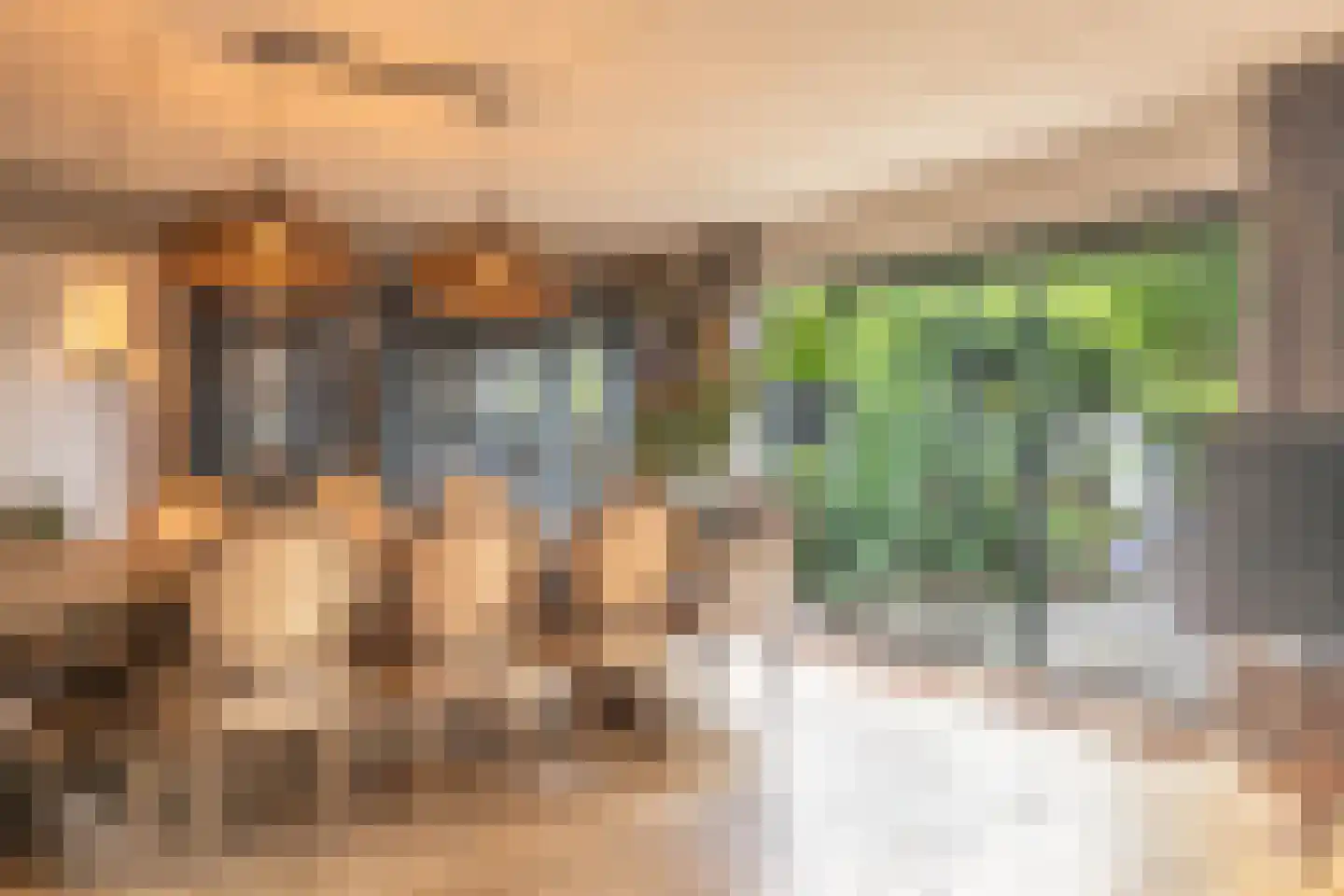 Hendrik Andriessenstraat 45 Zaandijk thumbnail 15