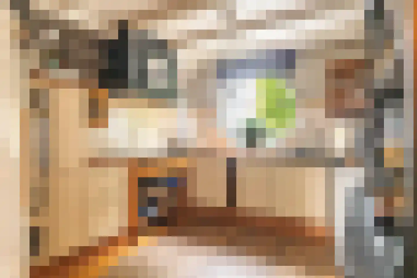 Hendrik Andriessenstraat 45 Zaandijk thumbnail 18