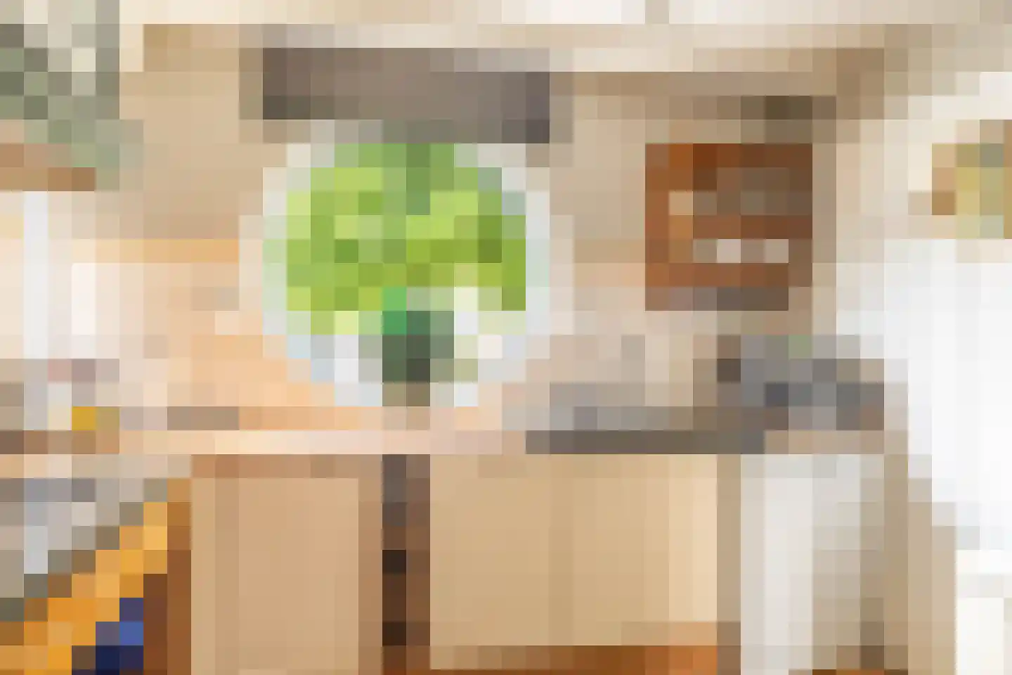 Hendrik Andriessenstraat 45 Zaandijk thumbnail 19