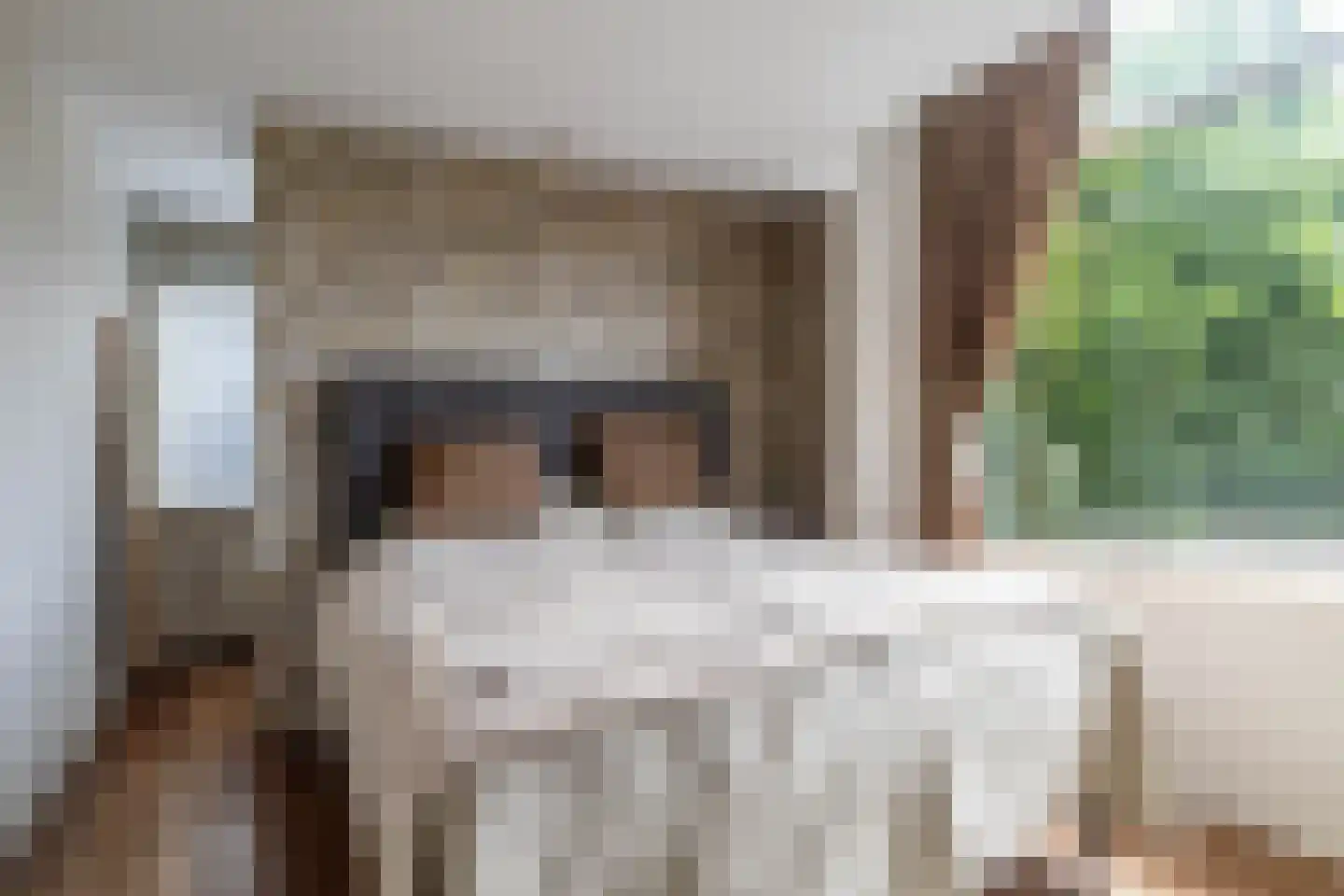 Hendrik Andriessenstraat 45 Zaandijk thumbnail 27