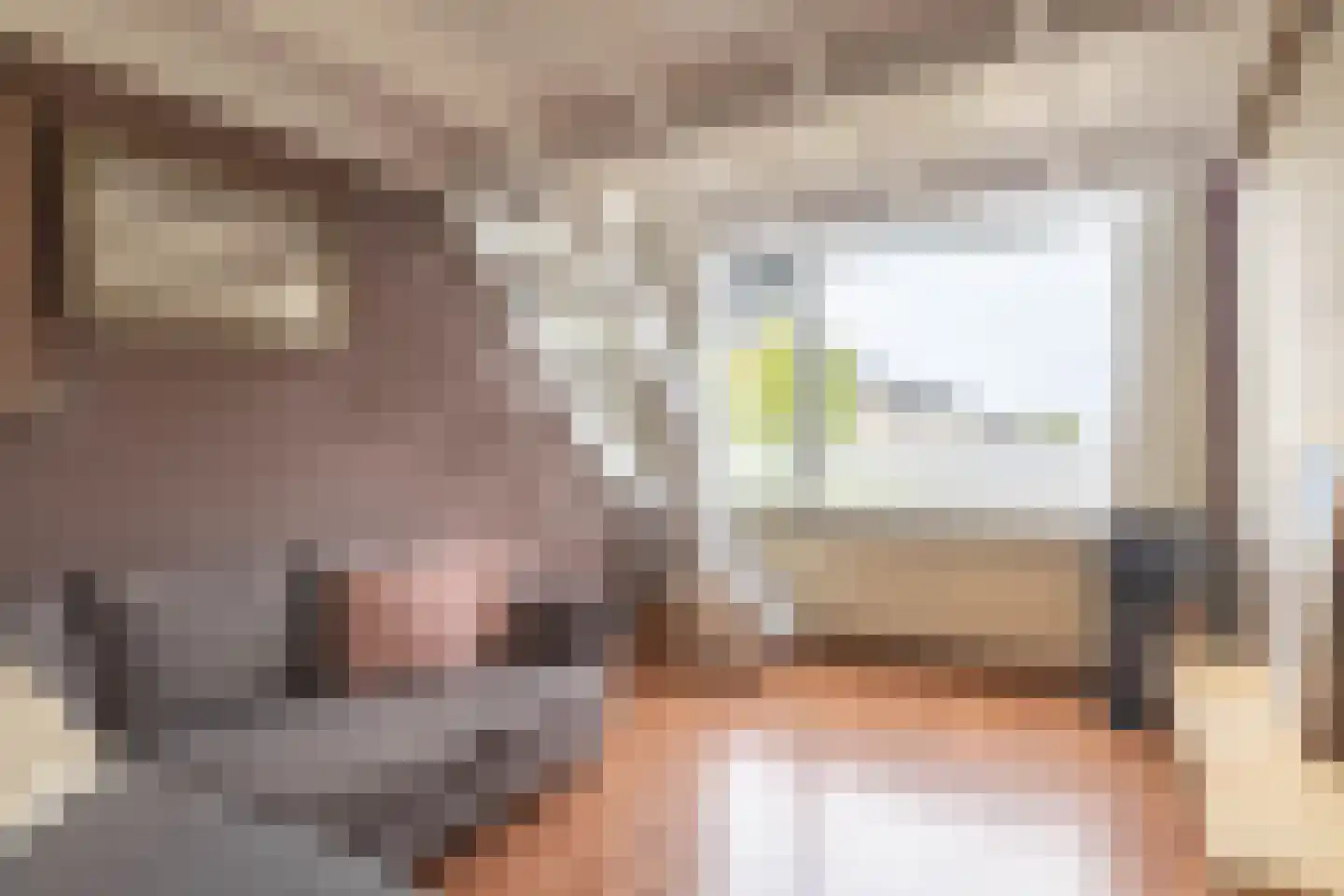 Hendrik Andriessenstraat 45 Zaandijk thumbnail 32