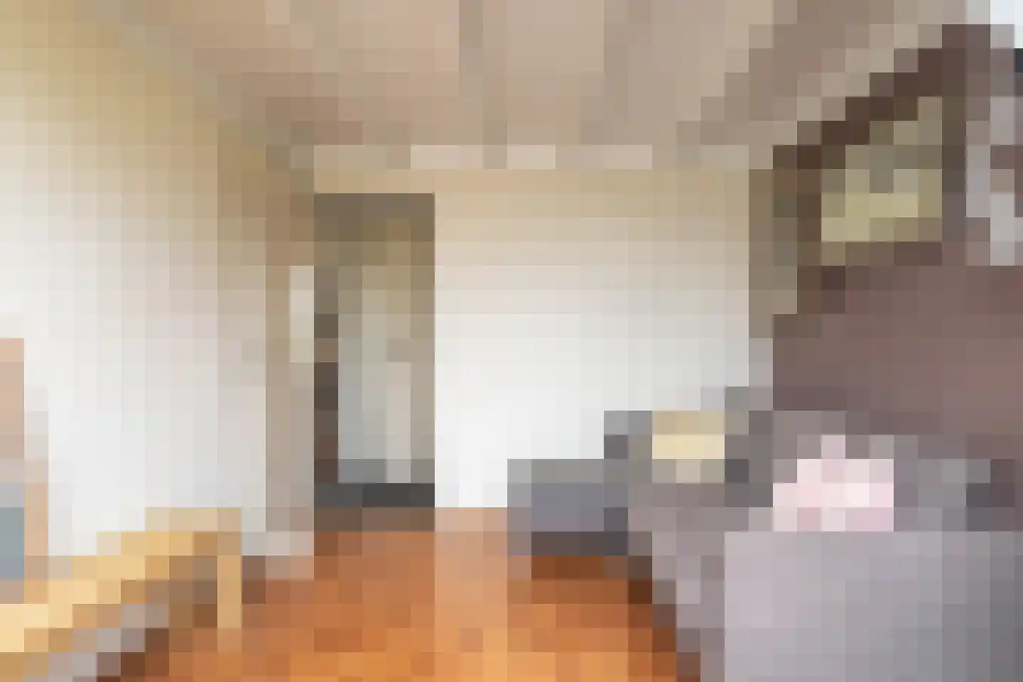 Hendrik Andriessenstraat 45 Zaandijk thumbnail 33