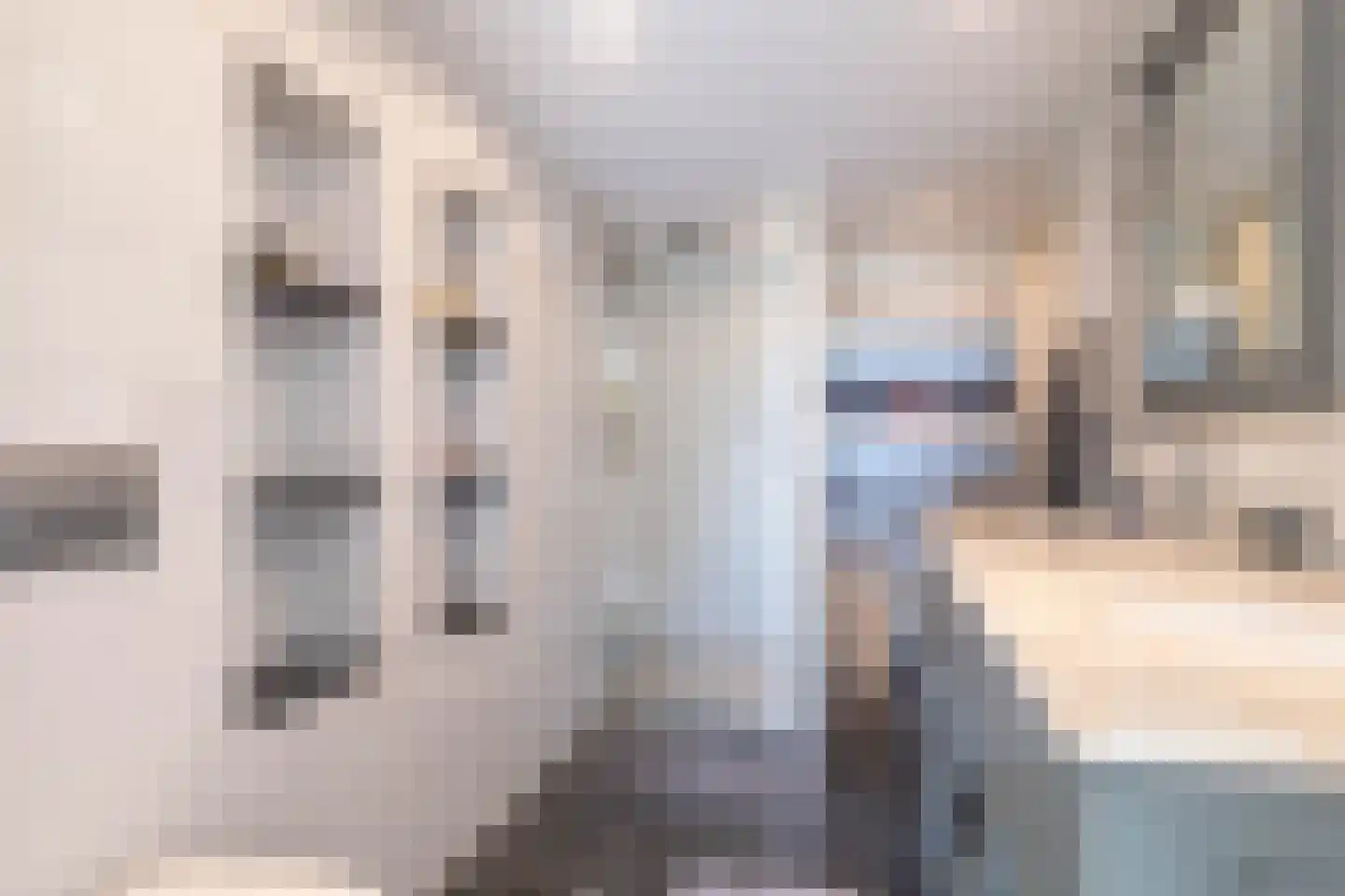 Hendrik Andriessenstraat 45 Zaandijk thumbnail 41