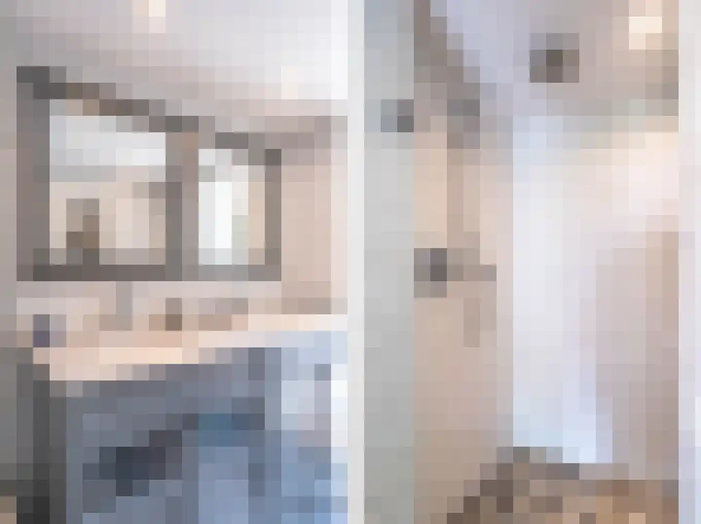 Hendrik Andriessenstraat 45 Zaandijk thumbnail 43