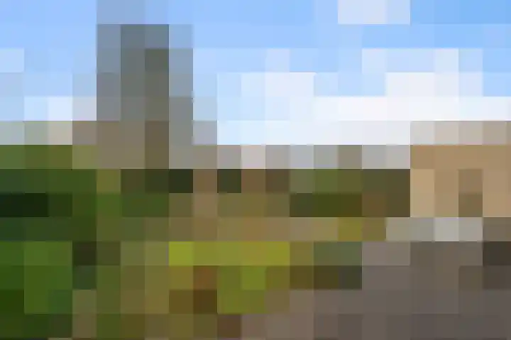 Hendrik Andriessenstraat 67 Zaandijk thumbnail 31