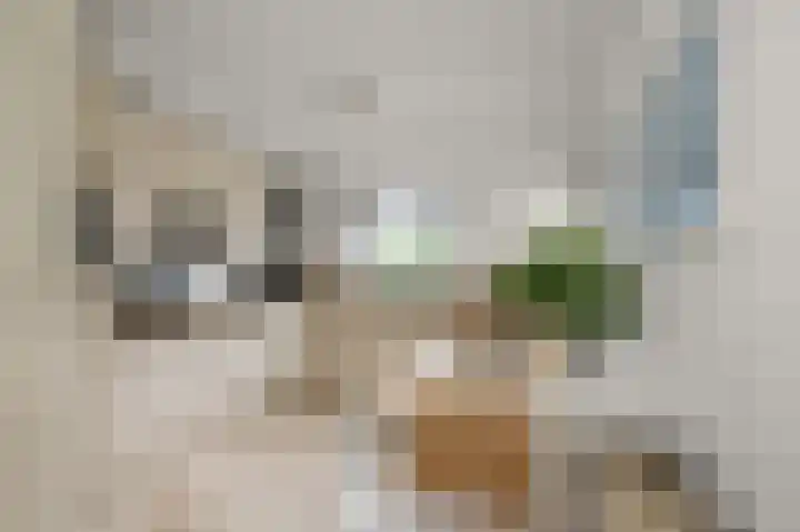 Hendrik Andriessenstraat 67 Zaandijk thumbnail 8