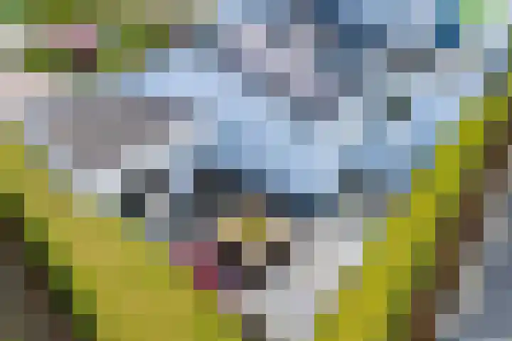 Hendrik Braamstraat 1 Gendt thumbnail 24