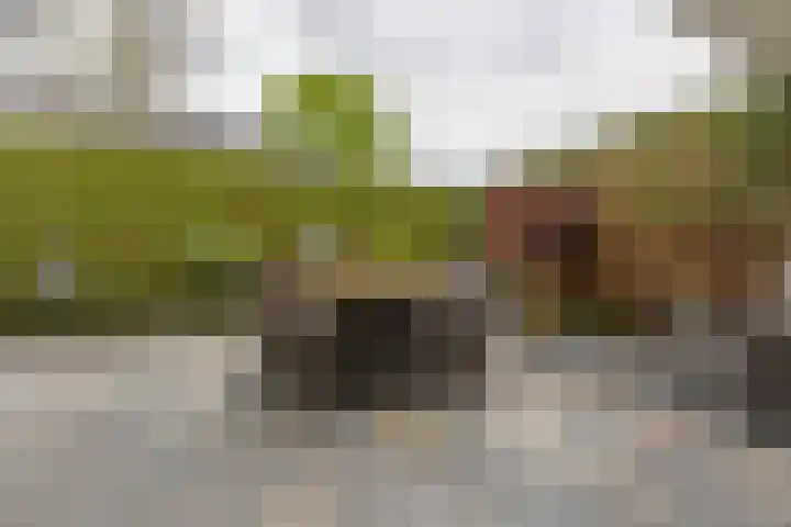 Hendrik Braamstraat 1 Gendt thumbnail 25