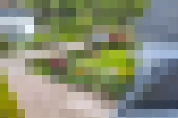 Hendrik Braamstraat 1 Gendt thumbnail 36