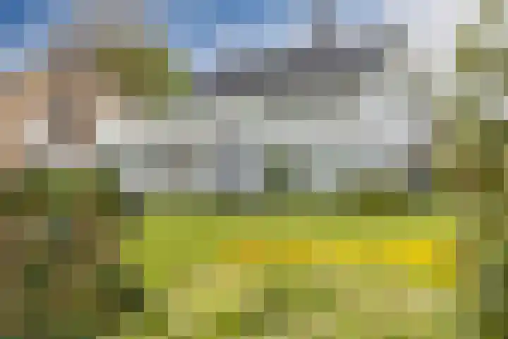Hendrik Braamstraat 1 Gendt thumbnail 4