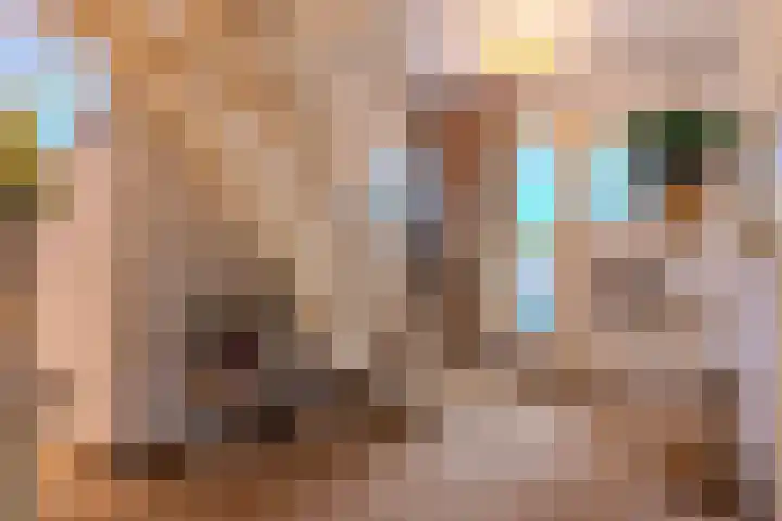 Hendrik Braamstraat 1 Gendt thumbnail 8