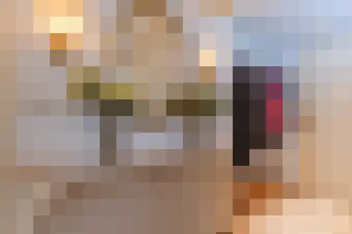 Hendrik Braamstraat 1 Gendt thumbnail 9