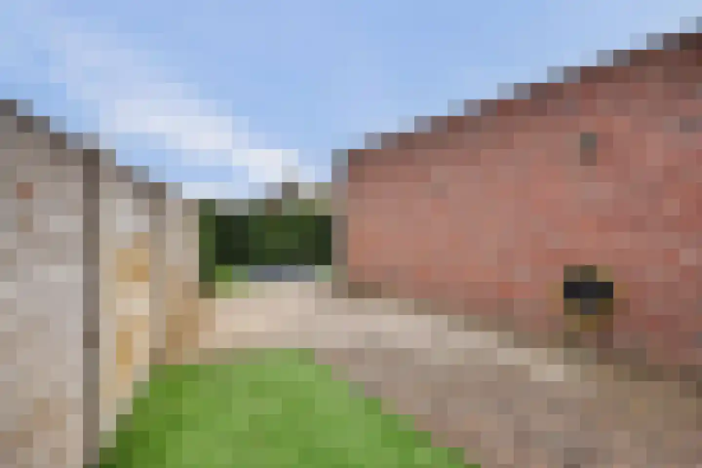 Hendrik Braamstraat 33 Gendt thumbnail 34