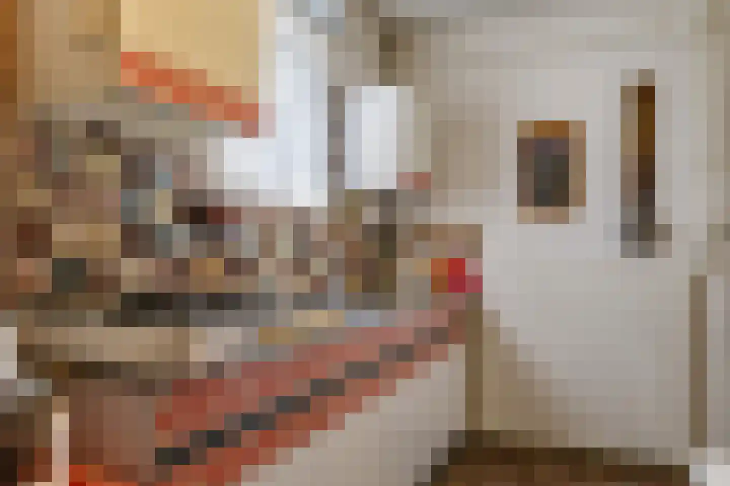 Hendrik Braamstraat 42 Gendt thumbnail 21