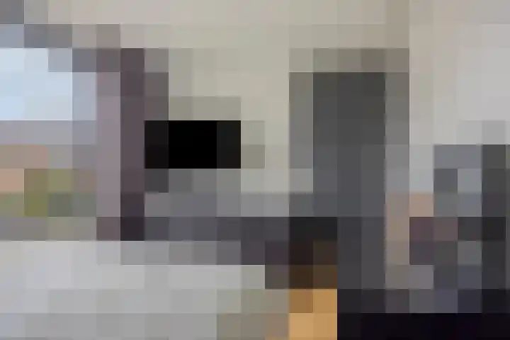 Hendrik Braamstraat 49 Gendt thumbnail 41