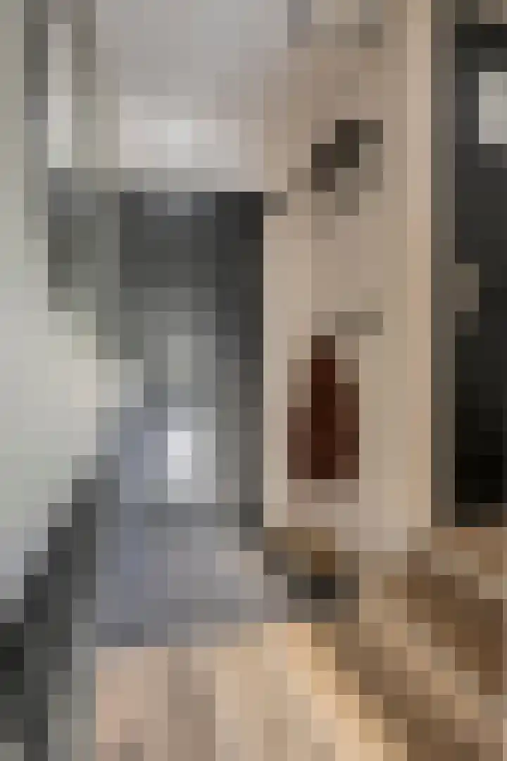 Hendrik Braamstraat 49 Gendt thumbnail 8
