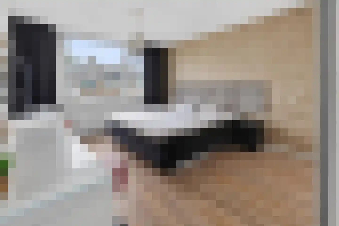 Hendrik Broertjesstraat 9 Den Helder thumbnail 21