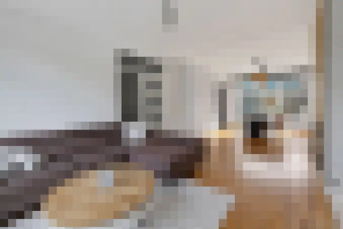 Hendrik Broertjesstraat 9 Den Helder thumbnail 7