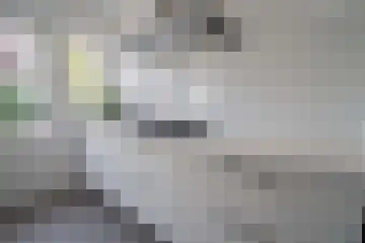 Hendrik Burgerstraat 3 Beverwijk thumbnail 13