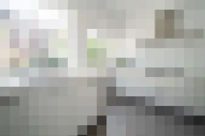Hendrik Burgerstraat 3 Beverwijk thumbnail 14