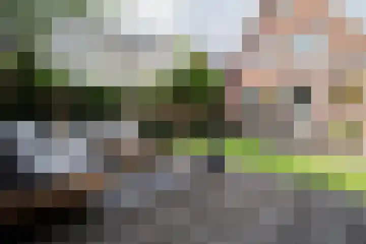 Hendrik Burgerstraat 3 Beverwijk thumbnail 31