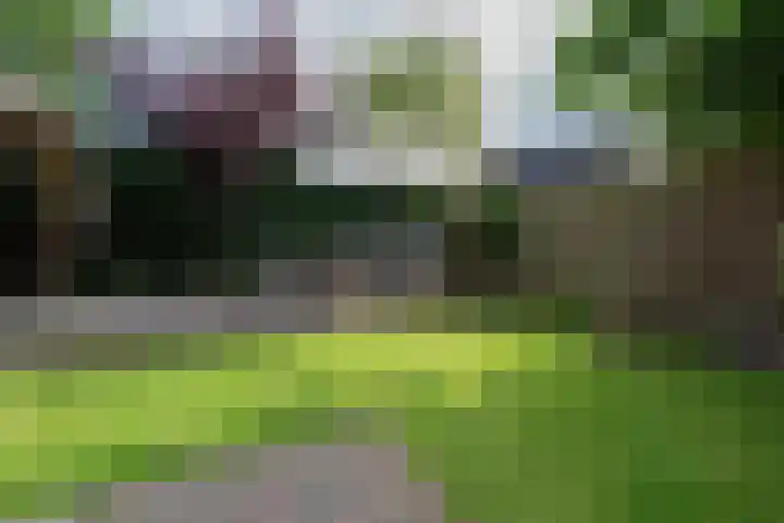 Hendrik Burgerstraat 3 Beverwijk thumbnail 32