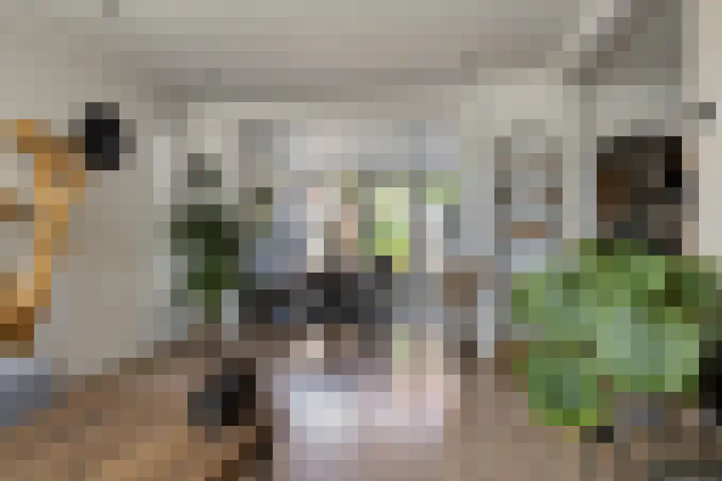 Hendrik Casimirlaan 2 Hulst thumbnail 9