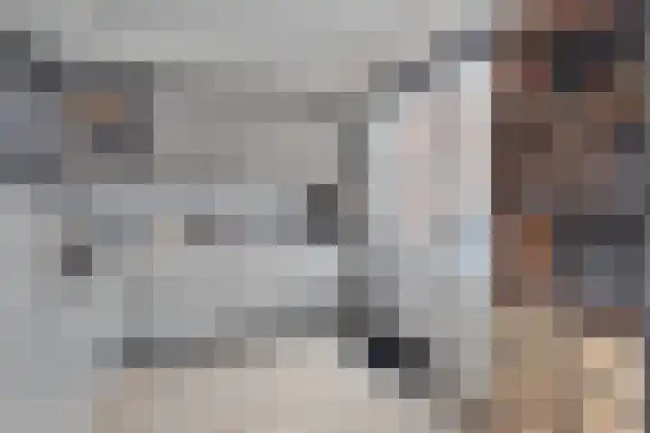 Hendrik Casimirlaan 25 Hulst thumbnail 13