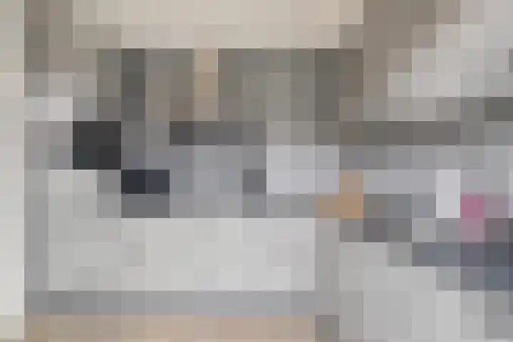 Hendrik Casimirlaan 25 Hulst thumbnail 14