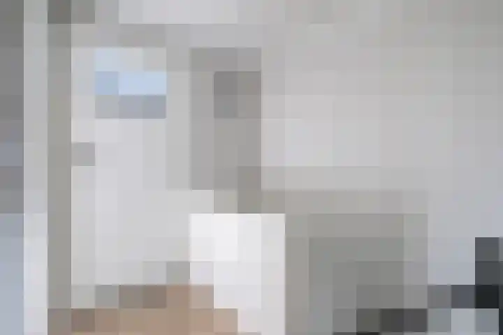 Hendrik Casimirlaan 25 Hulst thumbnail 17