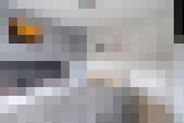 Hendrik Casimirlaan 25 Hulst thumbnail 19