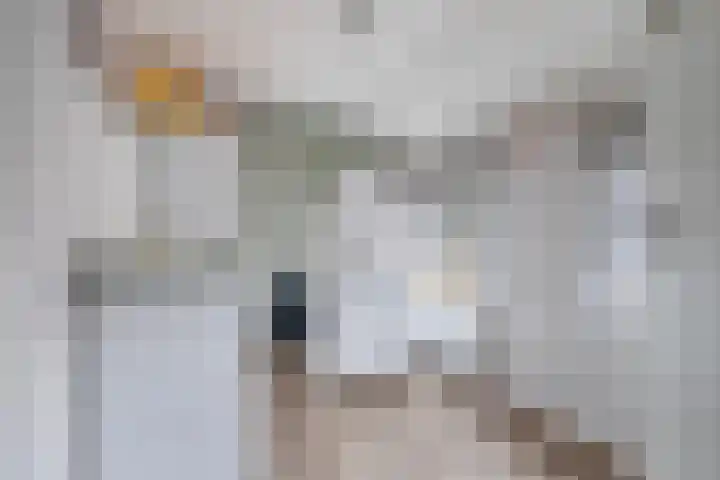 Hendrik Casimirlaan 25 Hulst thumbnail 20
