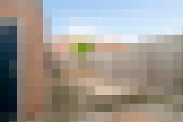 Hendrik Casimirlaan 25 Hulst thumbnail 22