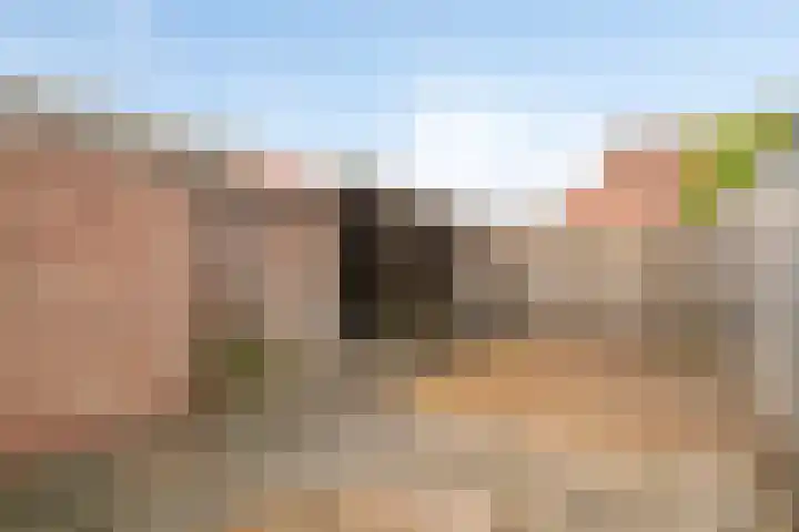 Hendrik Casimirlaan 25 Hulst thumbnail 24